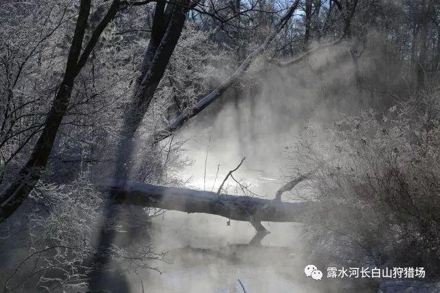 盗贼之海