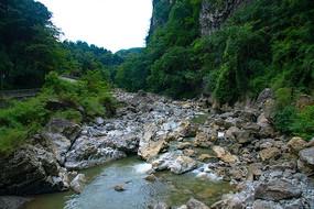 冰火人魔岛探险
