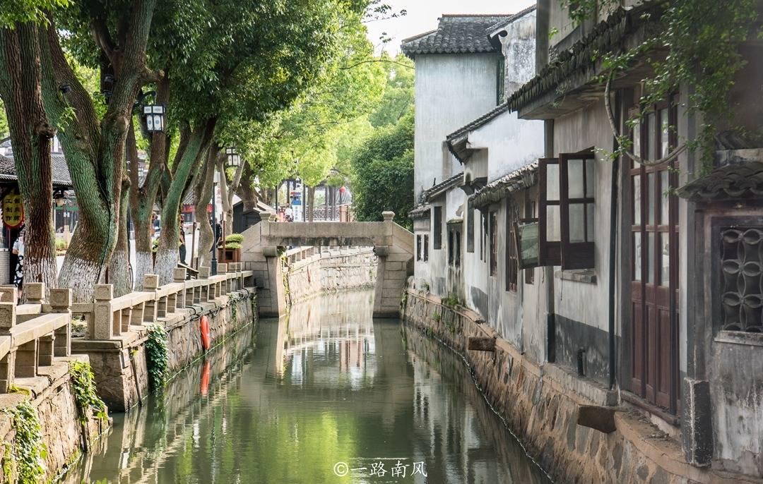 救援蓝鸦